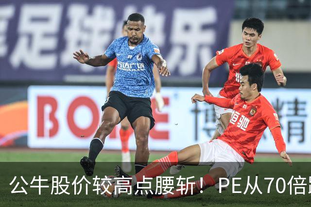 公牛股价较高点腰斩！PE从70倍跌到17倍，年赚40亿成现金牛