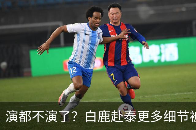 演都不演了？白鹿赴泰更多细节被曝，多人牵扯其中难怪不取消活动